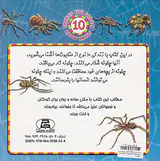 جانور هشت پای خطرناک عنکبوت ها
